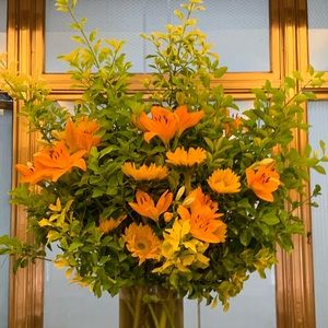 Meet your Posher, Katya